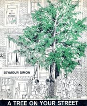 Tapa de A tree on your street