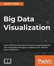 Tapa de Big Data Visualization