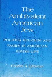 Tapa de The ambivalent American Jew