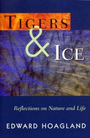 Tapa de Tigers & Ice