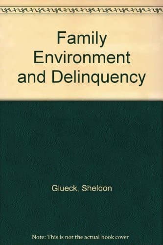 Tapa de Family environment and delinquency