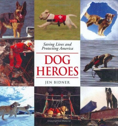 Tapa de Dog Heroes