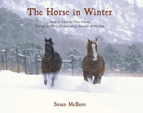 Tapa de The Horse in Winter