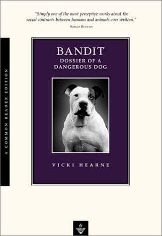 Tapa de Bandit