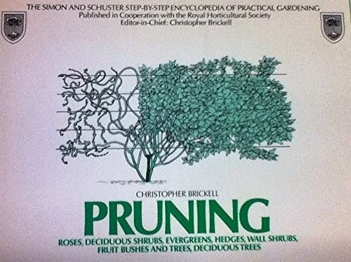 Tapa de Pruning