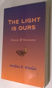 Tapa de The light is ours