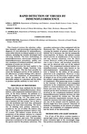 Tapa de Cumitech 24: Rapid Detection of Viruses by Immunofluorescence