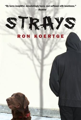 Tapa de Strays