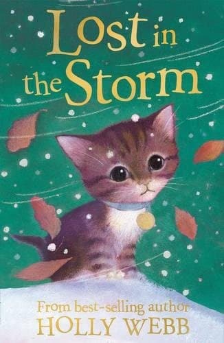 Tapa de lost-in-the-storm