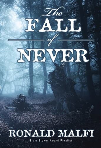 Tapa de The Fall of Never