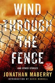 Tapa de Wind Through the Fence: And Other Stories