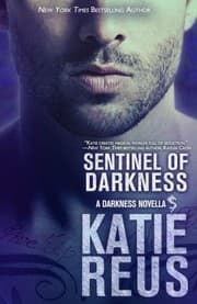 Tapa de Sentinel of Darkness (Darkness Series) (Volume 8)