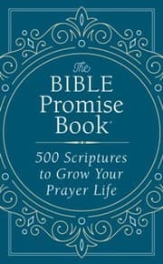 Tapa de BIBLE PROMISE BOOK 500 SCRIPTURES TO GROW YOUR PRAYER LIFE