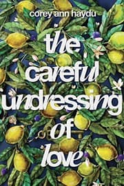 Tapa de The Careful Undressing of Love