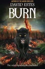 Tapa de Burn (Salem's Revenge) (Volume 3)
