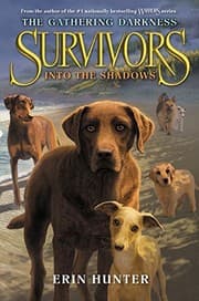 Tapa de Into the Shadows
