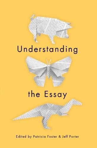 Tapa de Understanding the Essay