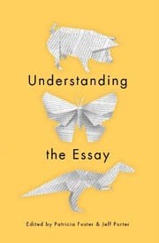 Tapa de Understanding the Essay