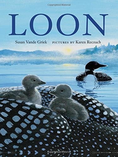 Tapa de Loon