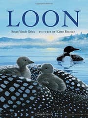 Tapa de Loon
