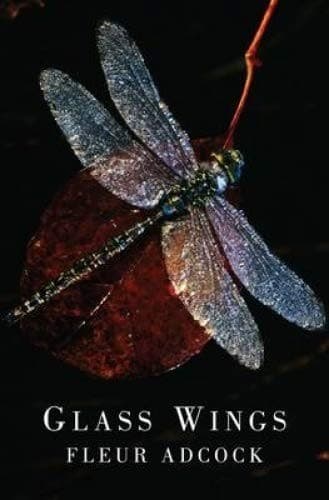 Tapa de Glass Wings