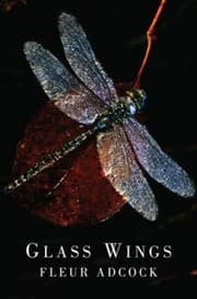 Tapa de Glass Wings