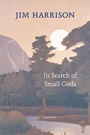 Tapa de In Search of Small Gods