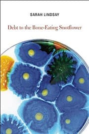 Tapa de Debt to the Bone-Eating Snotflower