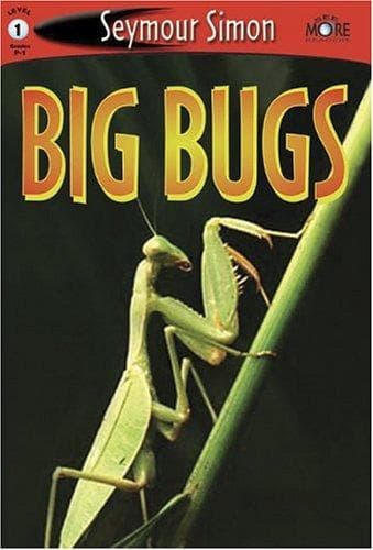 Tapa de Big Bugs