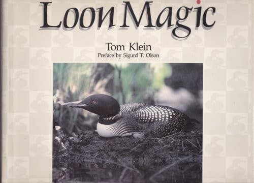 Tapa de Loon magic