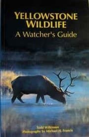 Tapa de Yellowstone wildlife