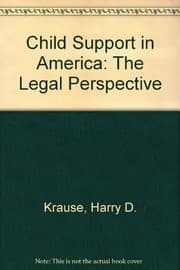 Tapa de Child support in America