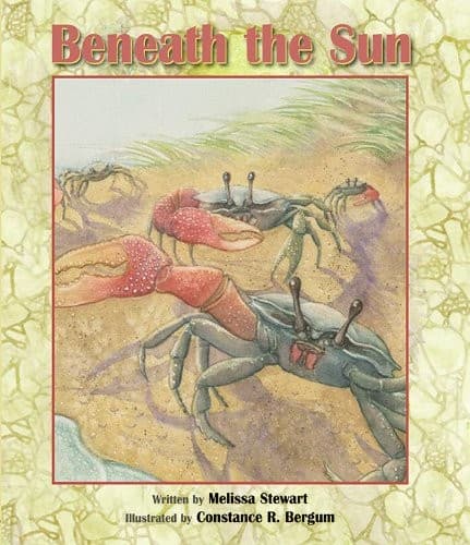 Tapa de Beneath the Sun