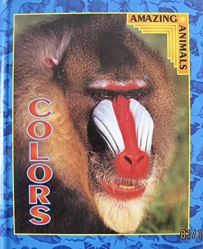 Tapa de Colors