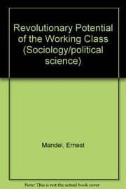 Tapa de The revolutionary potential of the working class