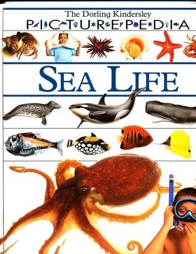 Tapa de Sea life