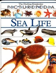Tapa de Sea life