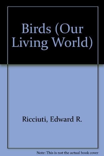 Tapa de Birds