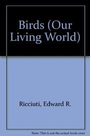 Tapa de Birds