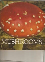 Tapa de Mushrooms