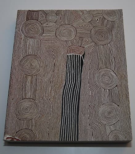 Tapa de Papunya Tula