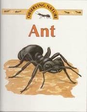 Tapa de Ant