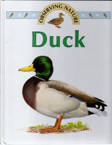 Tapa de Duck