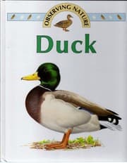 Tapa de Duck