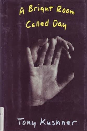 Tapa de A Bright Room Called Day