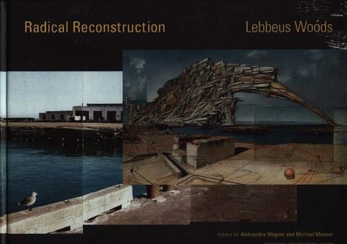Tapa de Radical reconstruction