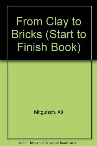 Tapa de From clay to bricks