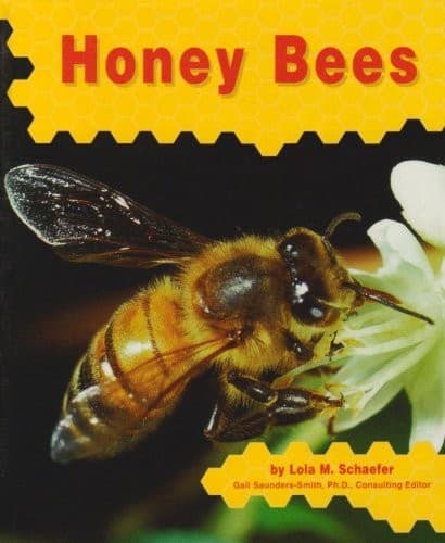 Tapa de Honey bees