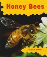 Tapa de Honey bees