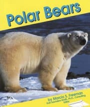 Tapa de Polar Bears